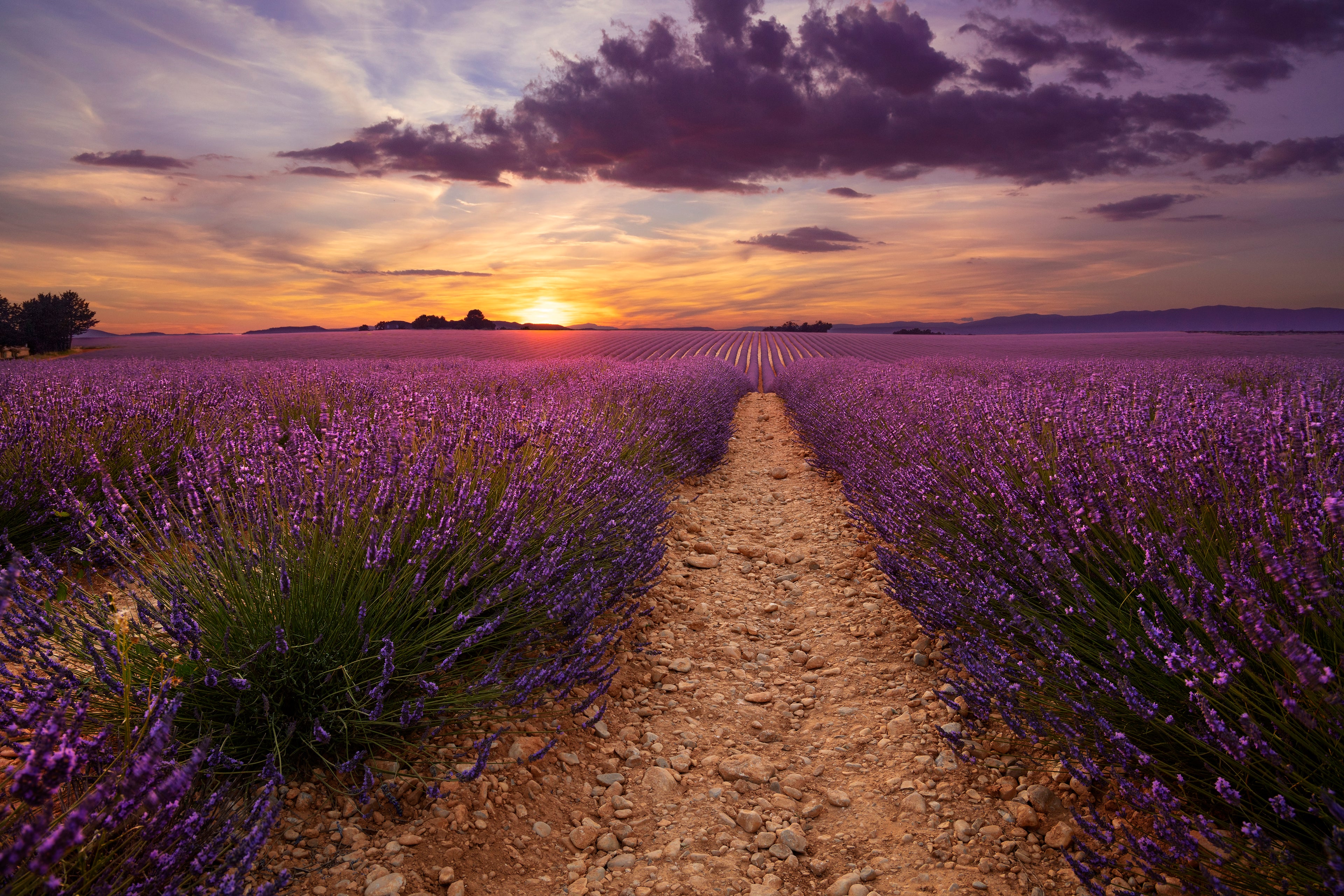 yoga-vakanties-frankrijk